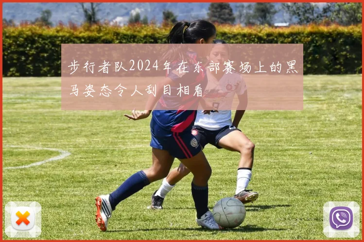 步行者队2024年在东部赛场上的黑马姿态令人刮目相看