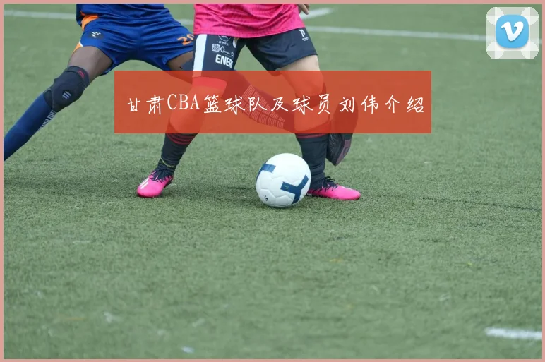 甘肃CBA篮球队及球员刘伟介绍