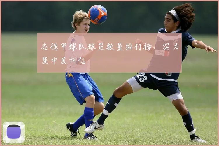 各德甲球队球星数量排行榜,实力集中度评估